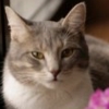 Uporabniški avatar